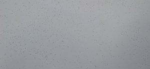FX-5224 Bretna Port Grey