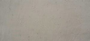 FX-5004 Plain Daisy Grey
