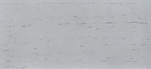 FX-8474 Soft Vintage Galaxy Daisy Grey