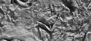 M-142 Sand Stone