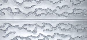 M-256 Silver Nitrate