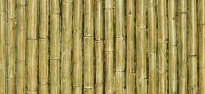 M-293 Green Bamboo Panel