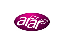 Arar