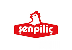 Şen Piliç